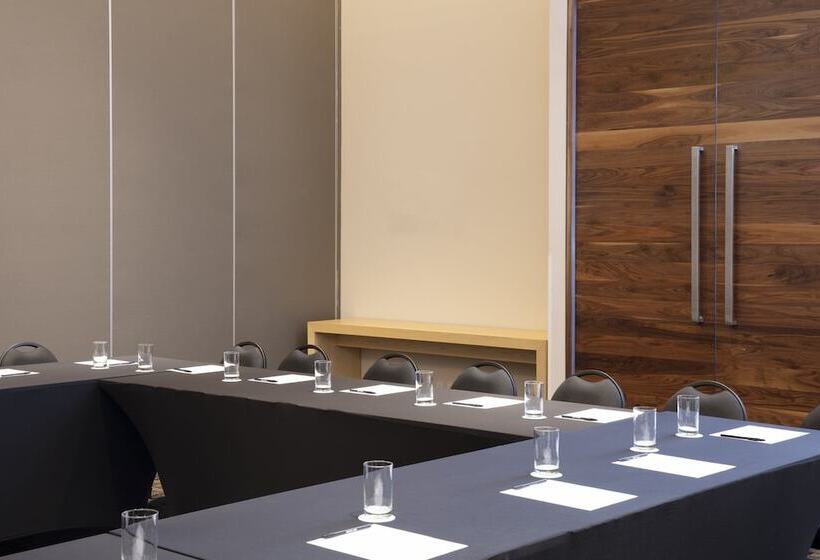 בית מלון כפרי Fiesta Inn Aguascalientes Patio