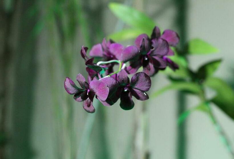 Hotel Pousada Do Mineiro