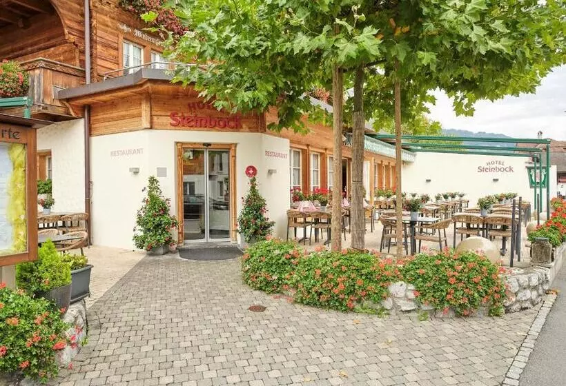 Hotel Steinbock