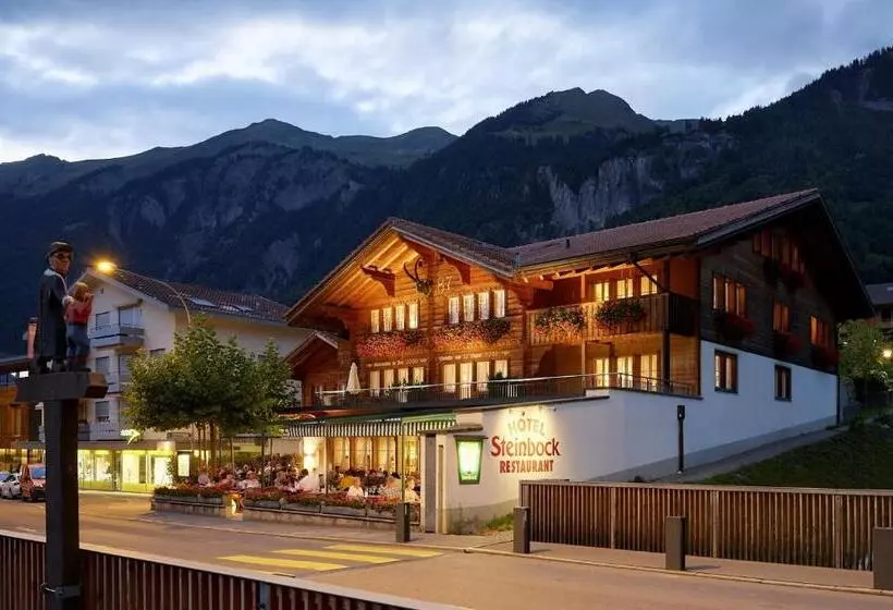 Hotel Steinbock