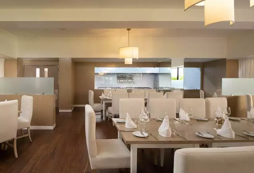 Melia Caribe Beach Resort  All Inclusive