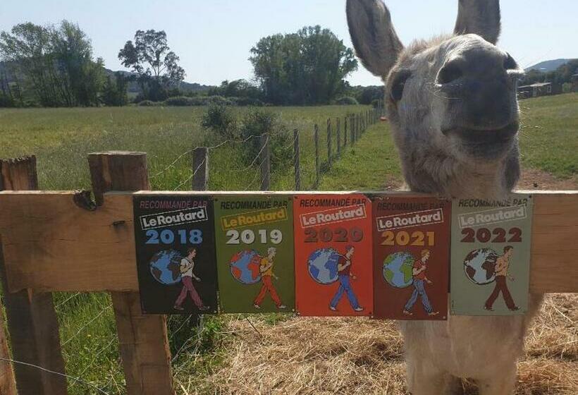 פנסיון Ferme De Chiuni