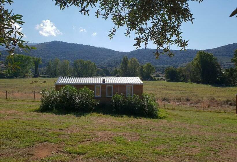 פנסיון Ferme De Chiuni