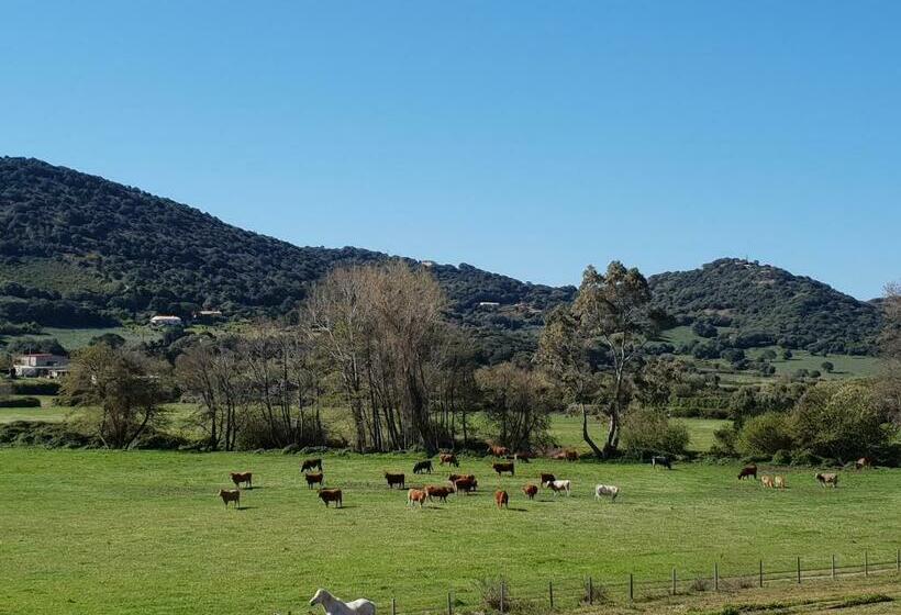 פנסיון Ferme De Chiuni