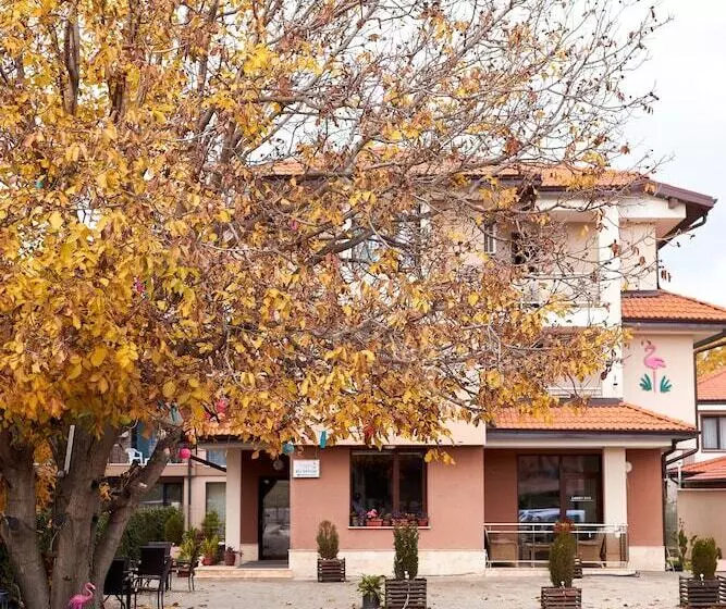 پانسیون Flamingo Plovdiv