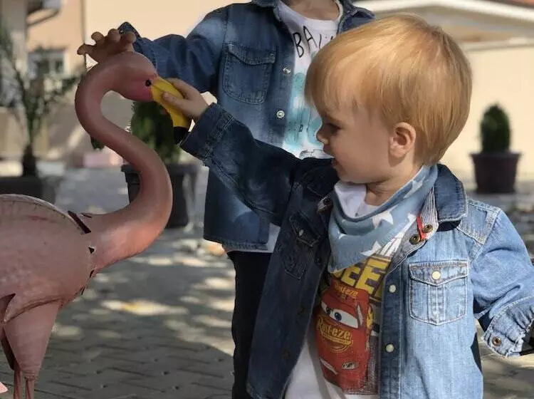 پانسیون Flamingo Plovdiv
