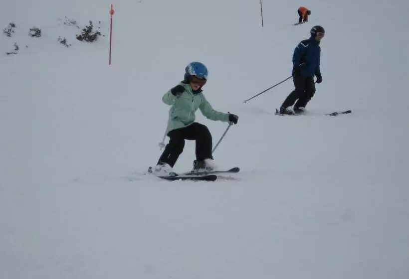 Pension Chalet Berkana