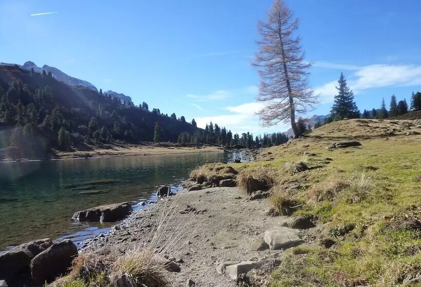 Pension Chalet Berkana