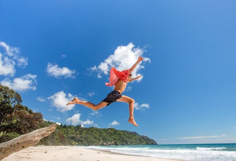 호텔 Tasman Holiday Parks Beachaven