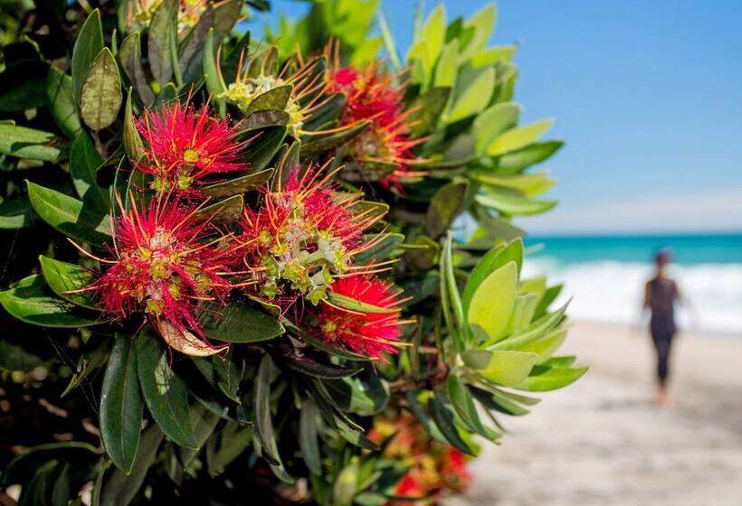 호텔 Tasman Holiday Parks Beachaven