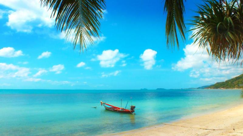 Hotel Black & White Bungalows