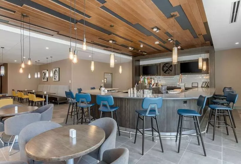 Cambria Hotel Mount Pleasant   Charleston