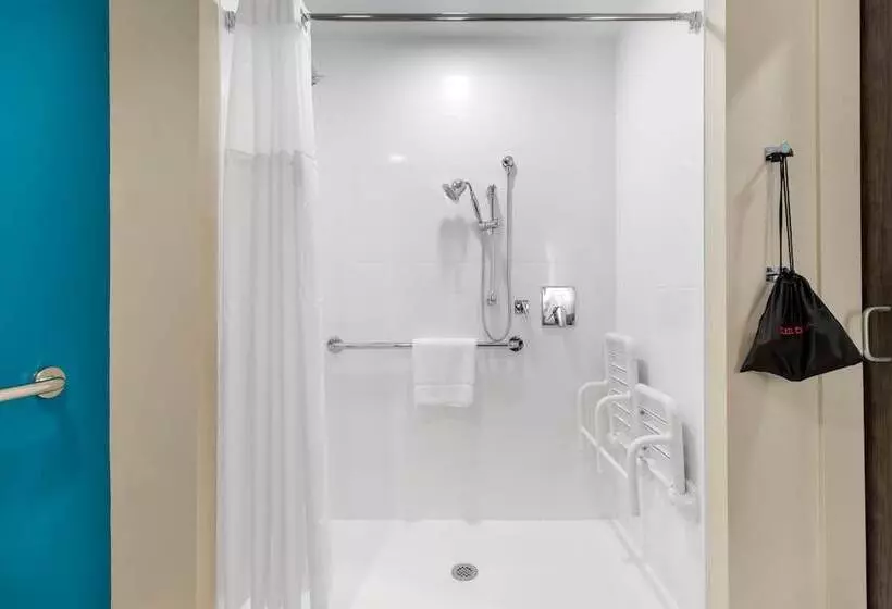 Cambria Hotel Mount Pleasant   Charleston