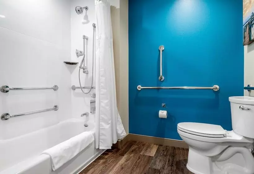 Cambria Hotel Mount Pleasant   Charleston