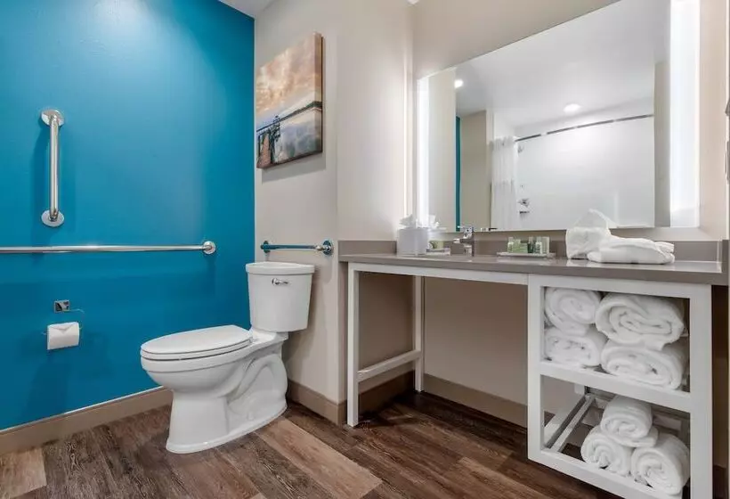 Cambria Hotel Mount Pleasant   Charleston