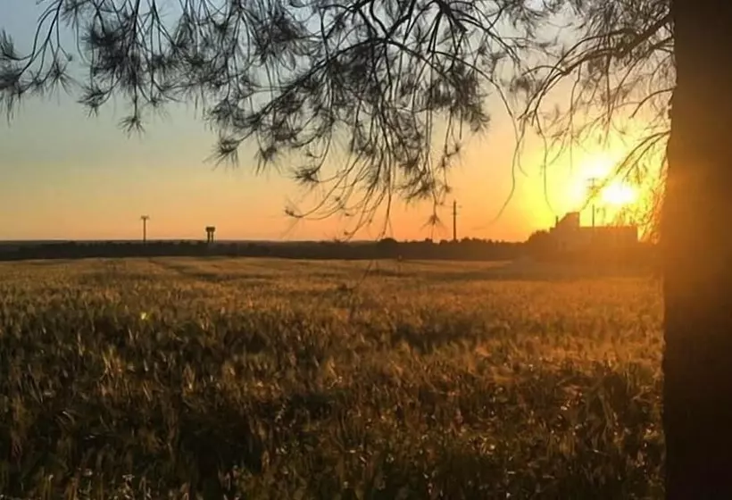 田舎風ホテル Masseria Fabrizio