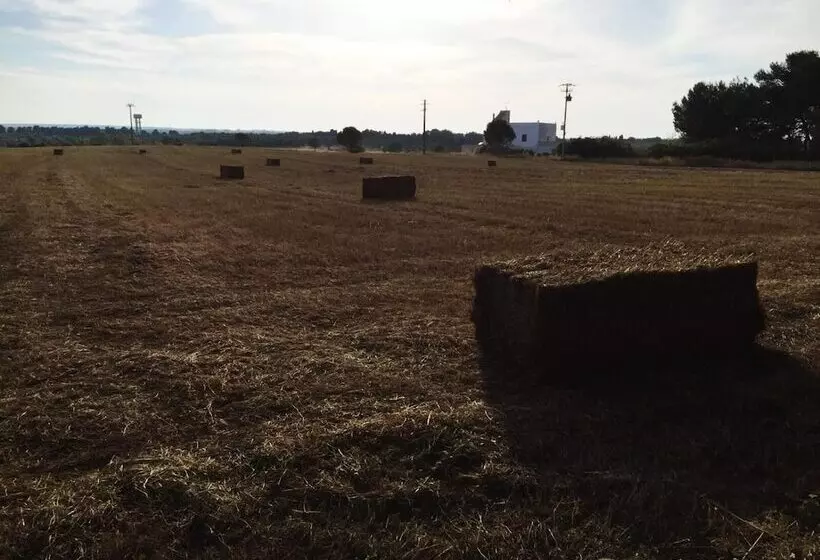 田舎風ホテル Masseria Fabrizio