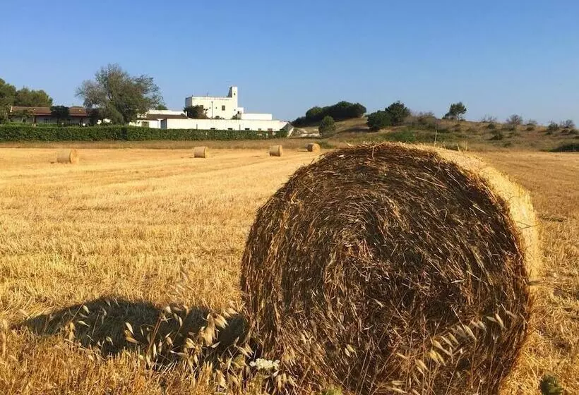 田舎風ホテル Masseria Fabrizio