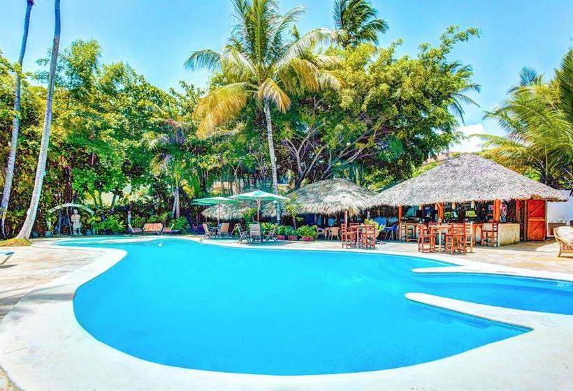 渡假胜地 Aventura Deluxe Beach Club & Spa