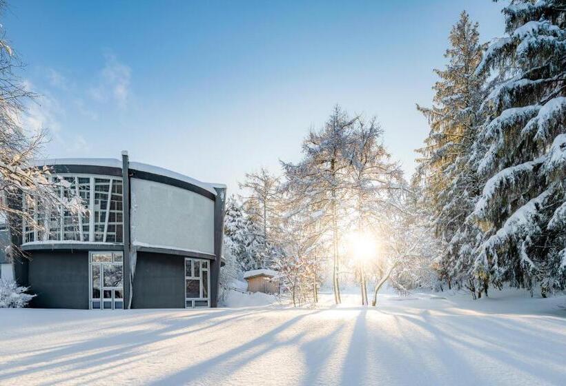 פונדק Allegro Alpin Lodge