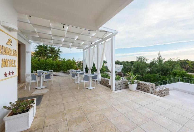 酒店 Albergo Auralba