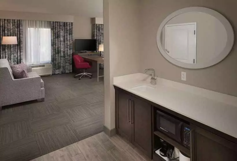 ホテル Hampton Inn & Suites Asheville Biltmore Area