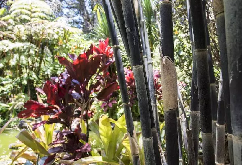 Lomakeskus Chalet Kilauea