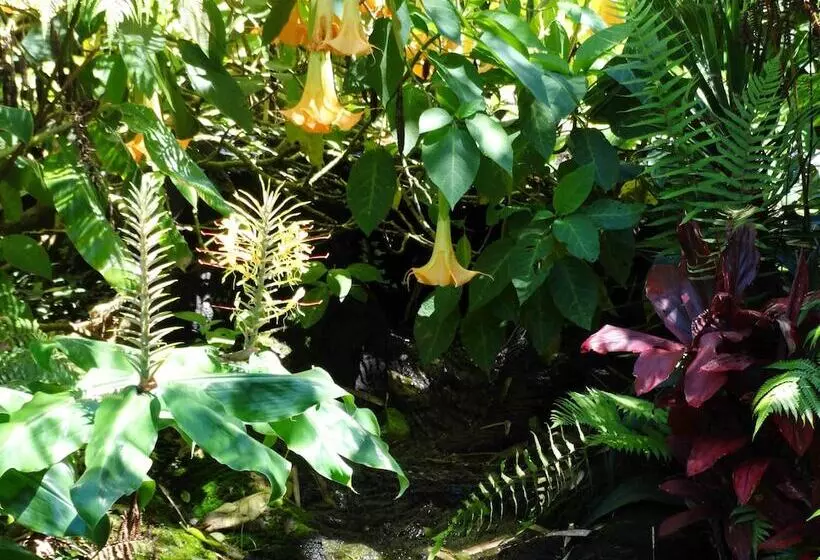 Lomakeskus Chalet Kilauea