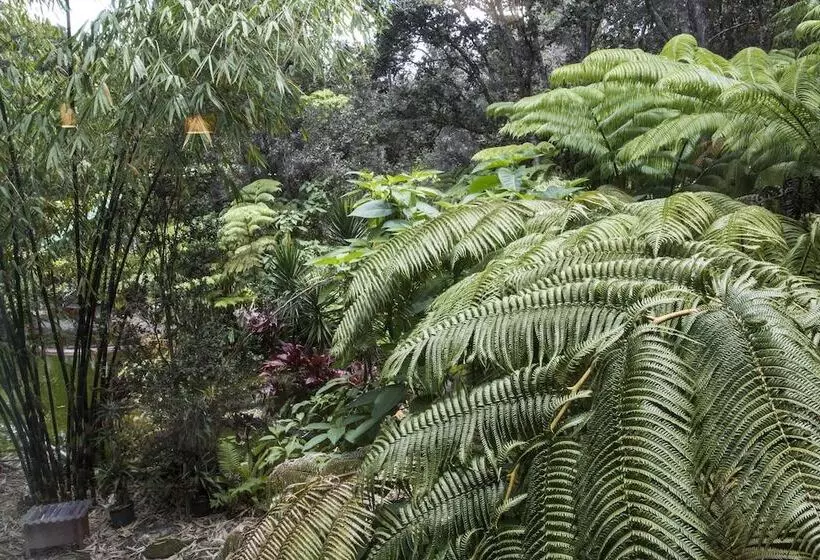 Lomakeskus Chalet Kilauea