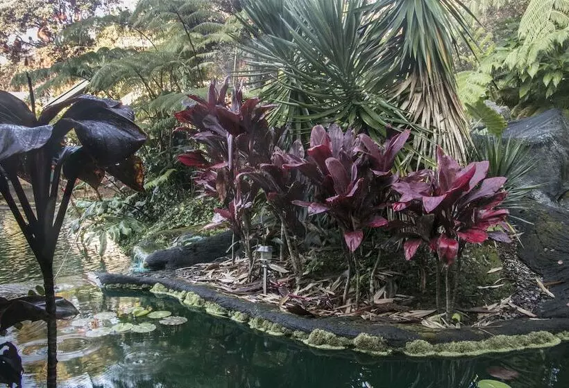 Lomakeskus Chalet Kilauea