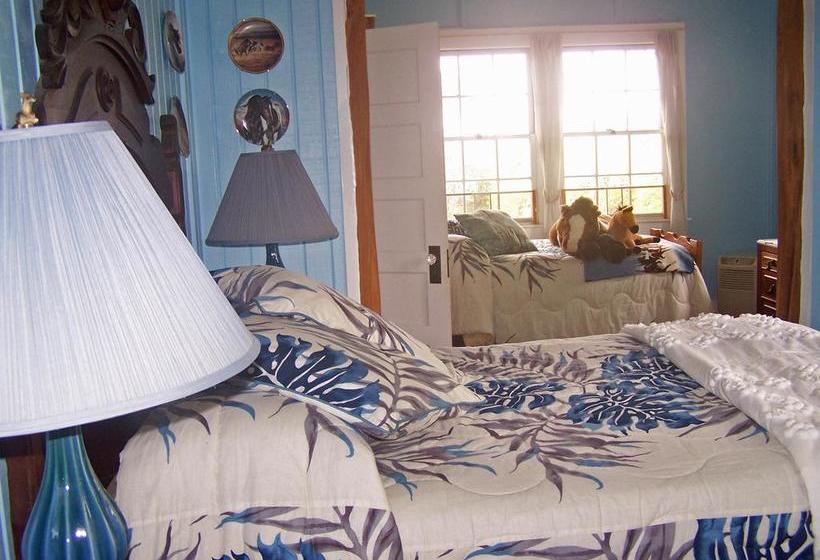 Bed and Breakfast Aloha Happy Place