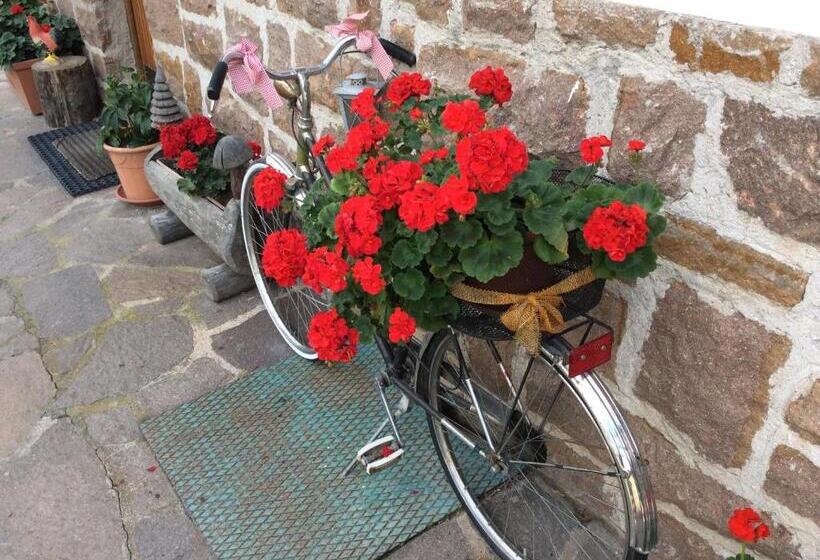 ホテル Albergo Sole