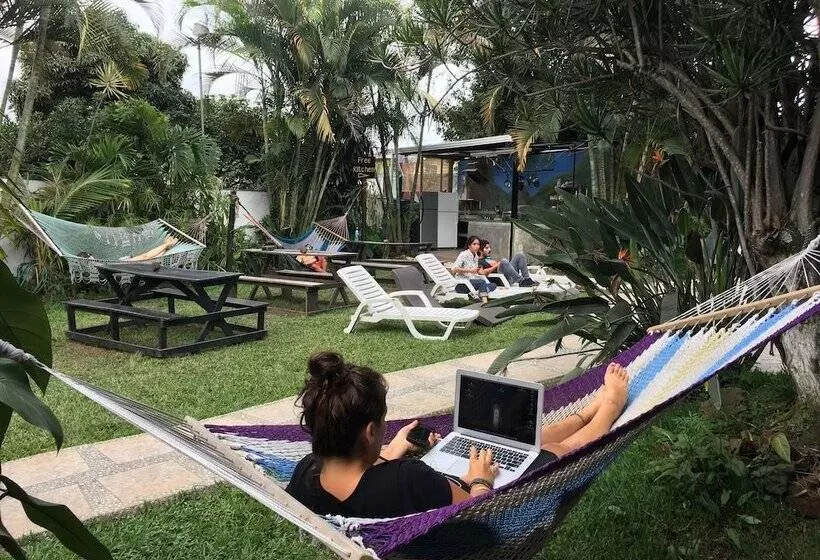 هتل Costa Rica Backpackers