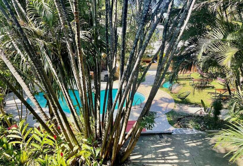 فندق Costa Rica Backpackers