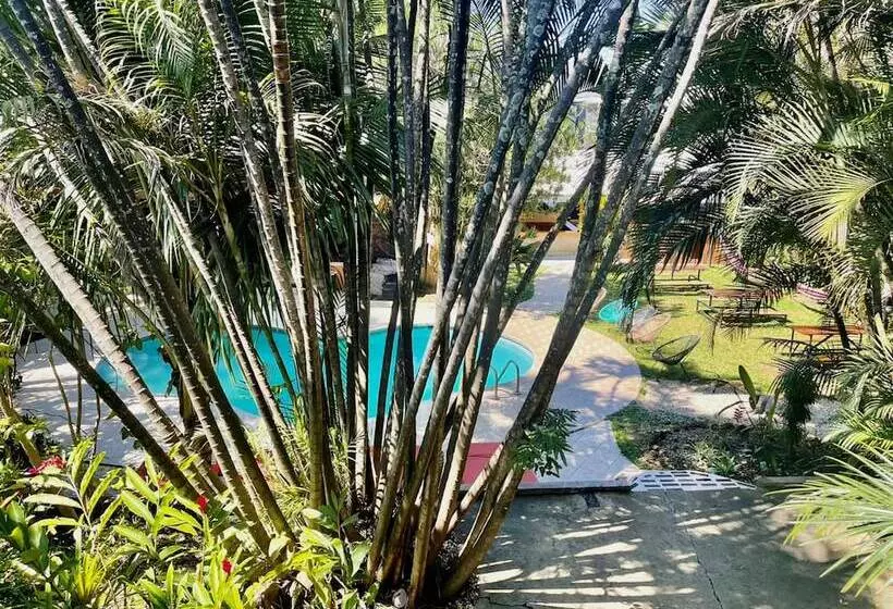 هتل Costa Rica Backpackers