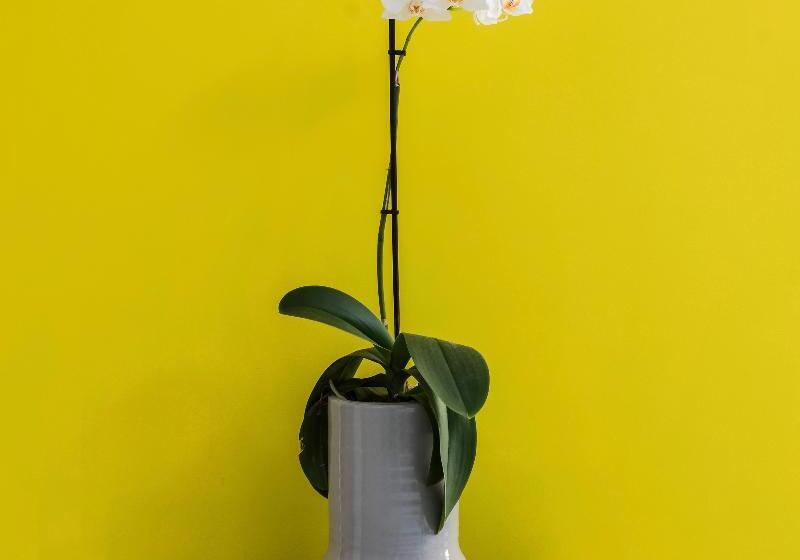 هتل Iasonos Suites Athens