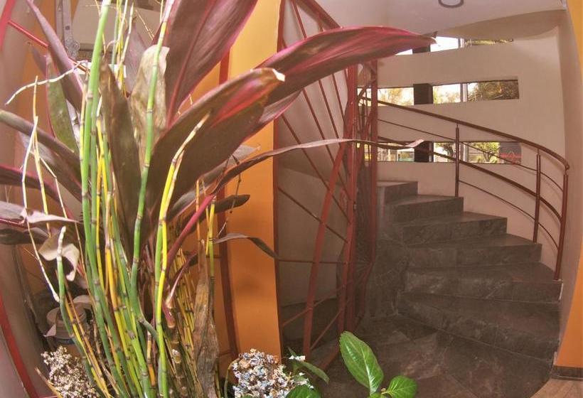 Отель Jard Inn Adult Only