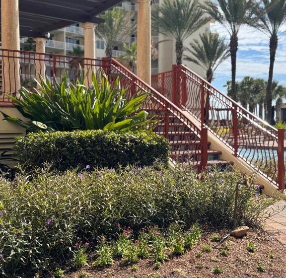 Shores Of Panama Resort