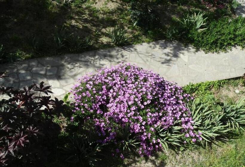 بنسيون Athos Guest House Pansion