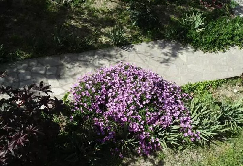 Majatalo Athos Guest House Pansion