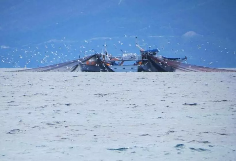 Majatalo Athos Guest House Pansion