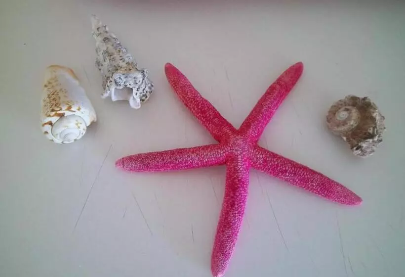 Majatalo Athos Guest House Pansion