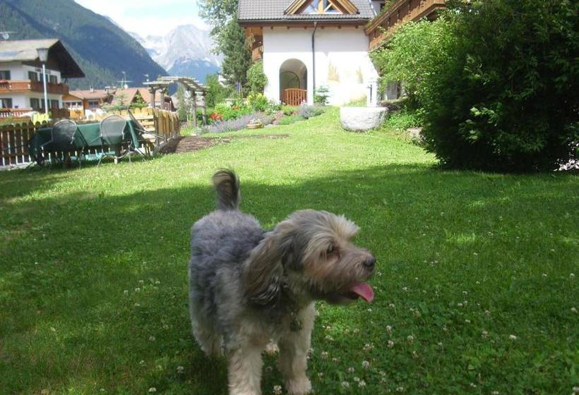 Apartments Residence Montana