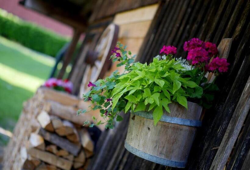 Apparthotel Ederfeld