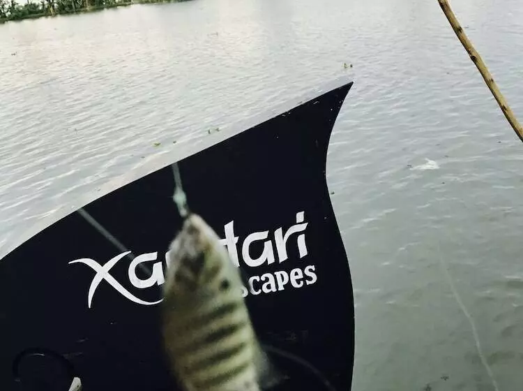 ホテル Xandari Riverscapes