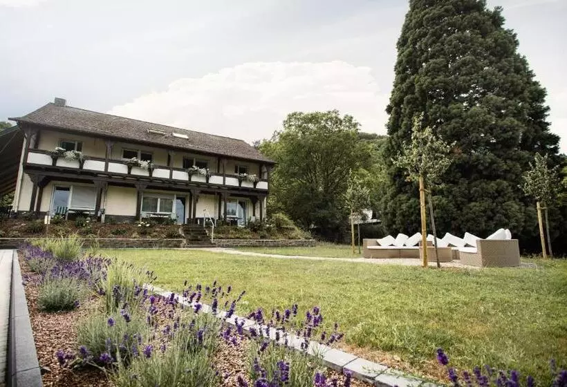 ペンション Ferien Weingut Schneider
