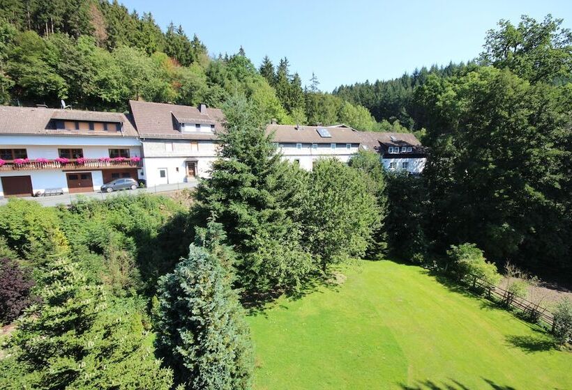 Пансион Haus Schnorbus