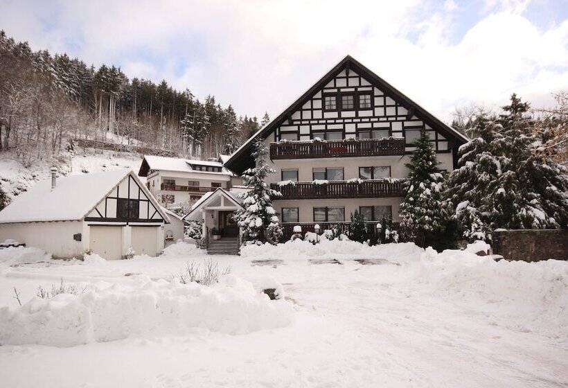 Пансион Haus Schnorbus