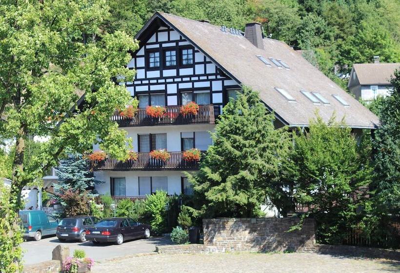 Пансион Haus Schnorbus