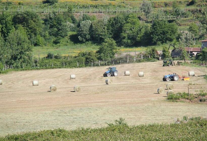 Пансион Quinta De S.vicente